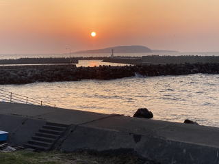 8月20～22日(水～金)　天売島オロロン鳥保護活動